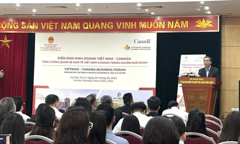 Tăng cường quan hệ kinh tế Việt Nam-Canada trong khuôn khổ CPTPP