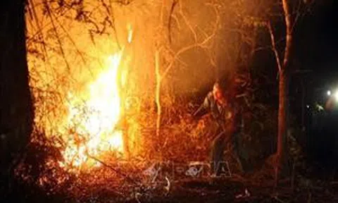 Điện Biên: Một người tử vong khi chữa cháy rừng tại huyện Mường Chà