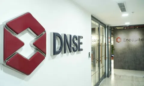 ĐHĐCĐ 2024: Chứng khoán DNSE dự kiến lợi nhuận tăng gấp đôi, chia cổ tức 2023 bằng tiền mặt