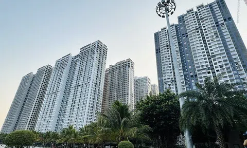 Giá bật tăng, thị trường cho thuê căn hộ chung cư Hà Nội “nóng” trở lại