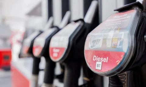 Cơn khủng hoảng diesel - Thông điệp ảm đạm tới kinh tế toàn cầu