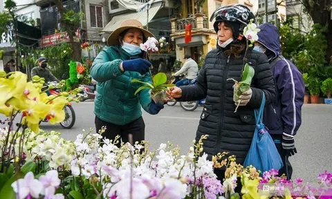 Chợ hoa phố Hoàng Hoa Thám nhộn ngày cuối năm
