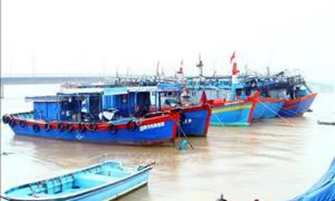 Quảng Bình: Khắc phục sự cố mất kết nối thiết bị giám sát hành trình tàu cá