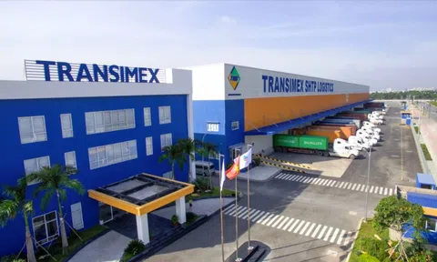 Transimex (TMS) bị xử lý thuế hơn 1,8 tỷ đồng
