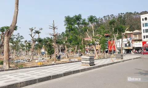 Dự án vườn hoa 80 tỷ ở Hải Phòng vướng mắc giải phóng mặt bằng
