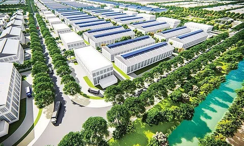 Đồng Nai phê duyệt quy hoạch phân khu KCN Long Đức 3 diện tích 244ha
