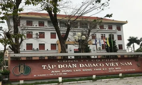 Dabaco Việt Nam (DBC): Một lãnh đạo cấp cao bán ra 1 triệu cổ phiếu sau nhịp hồi 28,2%
