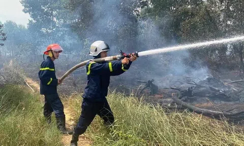 Miền Trung chủ động phòng 'giặc lửa' giữ rừng mùa khô