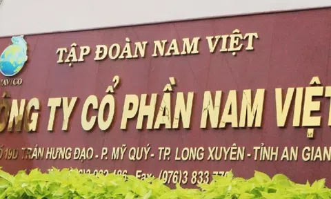 Tổng giám đốc Nam Việt (ANV) 'xuất trận' mua 3 triệu cổ phiếu khi con trai bị bán giải chấp