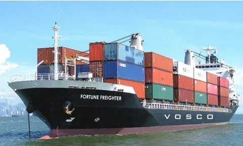 Vosco (VOS) báo lỗ gần 54 tỷ đồng quý I/2025, mức sâu nhất 5 năm