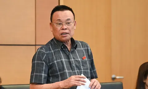 Vụ gần 600 loại sữa giả phơi bày tình trạng "đá bóng" trách nhiệm