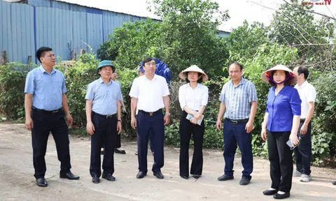 Hà Nội: Tạm dừng điều hành đối với 3 Chủ tịch xã ở Quốc Oai