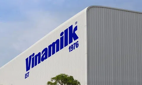 Vinamilk (VNM) sắp chi gần 5.000 tỷ đồng cổ tức tiền mặt