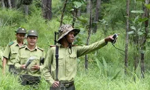 Vụ nhân viên bảo vệ rừng tử vong do bị bò tót tấn công: Nỗi đau và lời cảnh tỉnh