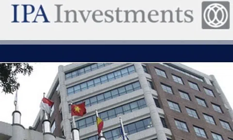 Lợi nhuận quý I/2025 của Tập đoàn Đầu tư I.P.A (IPA) giảm 80%, lỗ nặng từ khoản đầu tư vào Bất động sản Thế kỷ