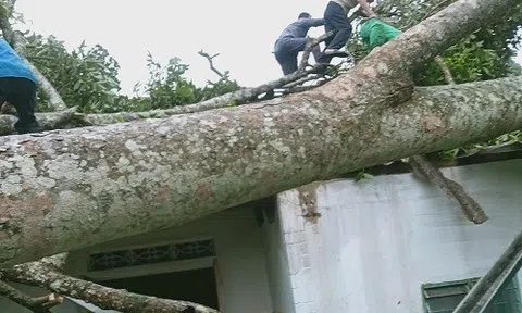 Hà Tĩnh: Giông lốc làm sập mái hàng chục ngôi nhà