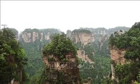 Chiều mưa trên thắng cảnh Vũ Lăng Nguyên (Trung Quốc)