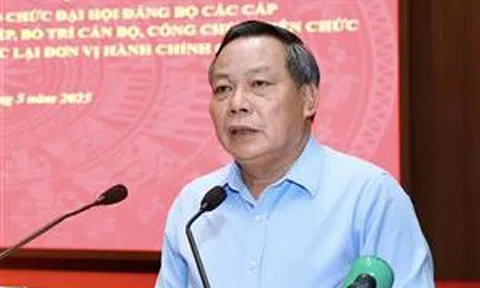 Phó Bí thư Hà Nội: Sắp xếp bộ máy không được làm gián đoạn các hoạt động